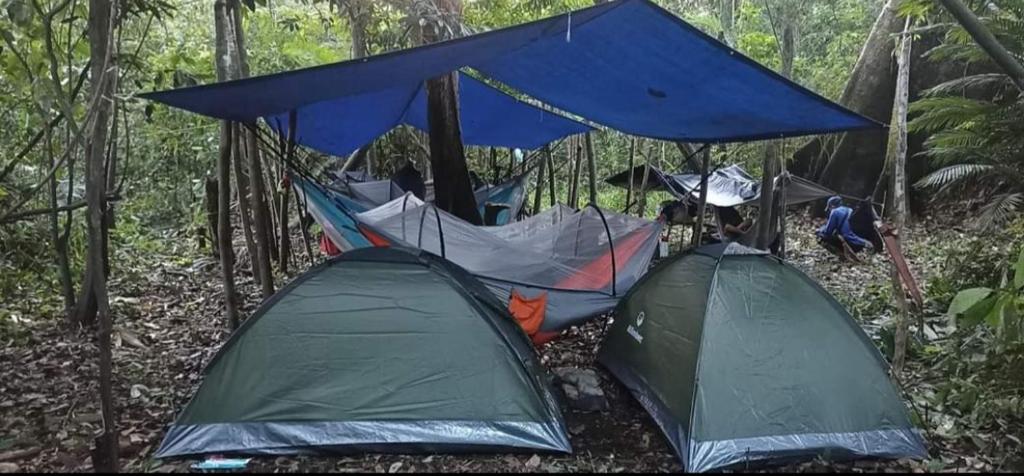 Atacuari Salvaje Tours Amazonas