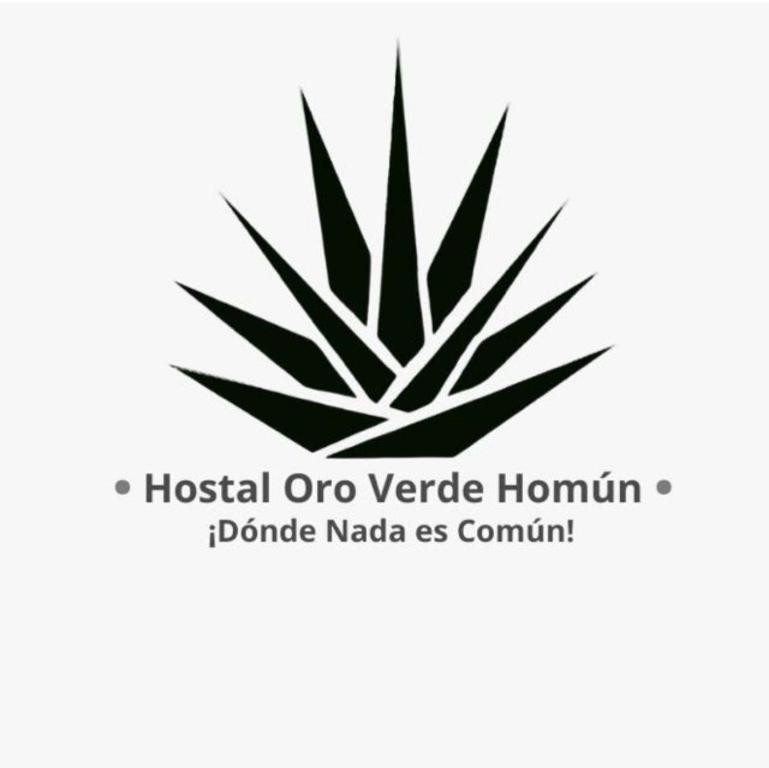 Certifikát, hodnocení, plakát nebo jiný dokument vystavený v ubytování Hostal Homún Oro Verde