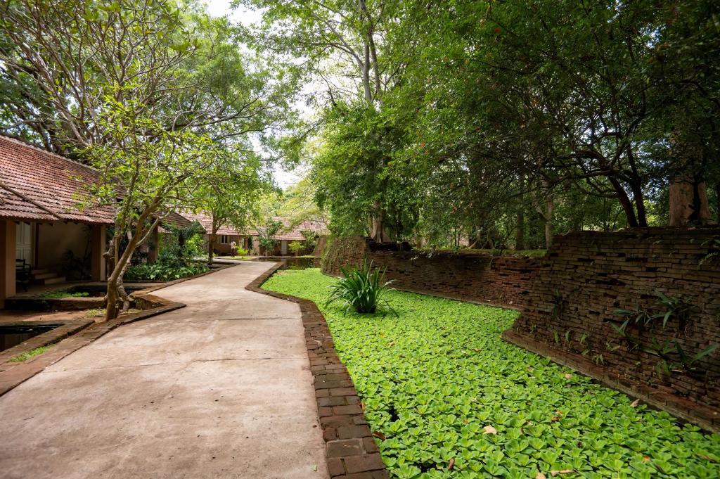 Zahrada ubytování Sigiriya Village