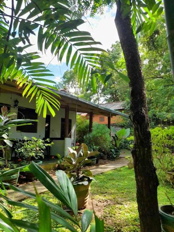 Zahrada ubytování Sigiri Neo Homestay