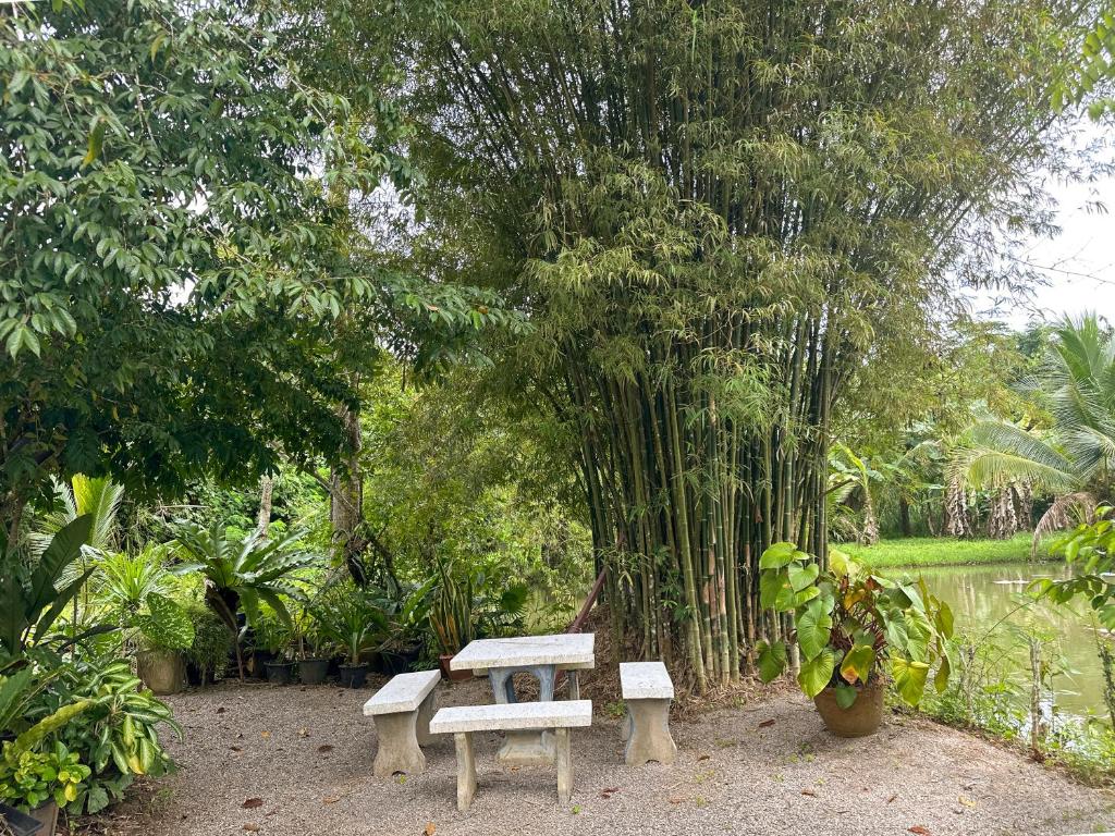 Zahrada ubytování Baan Panmala Guesthouse - Ao Luek, Krabi