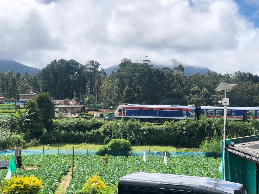 a train is traveling down the tracks near a garden at Misty5 in Pattipola