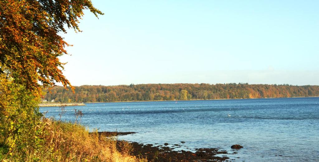 a large body of water with trees in the background at Apartment Close to the Beach in Flensburg