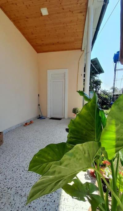 Fotografie z fotogalerie ubytování BaBa guesthouse v destinaci Martvili