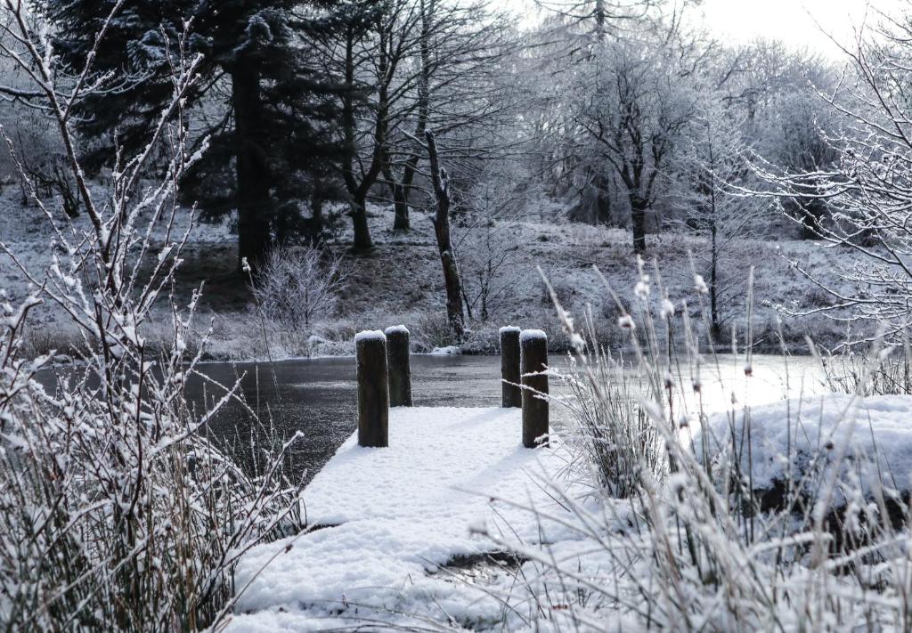 Wild Boar Estate - Resim 25