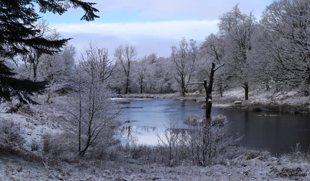 Wild Boar Estate - Resim 24