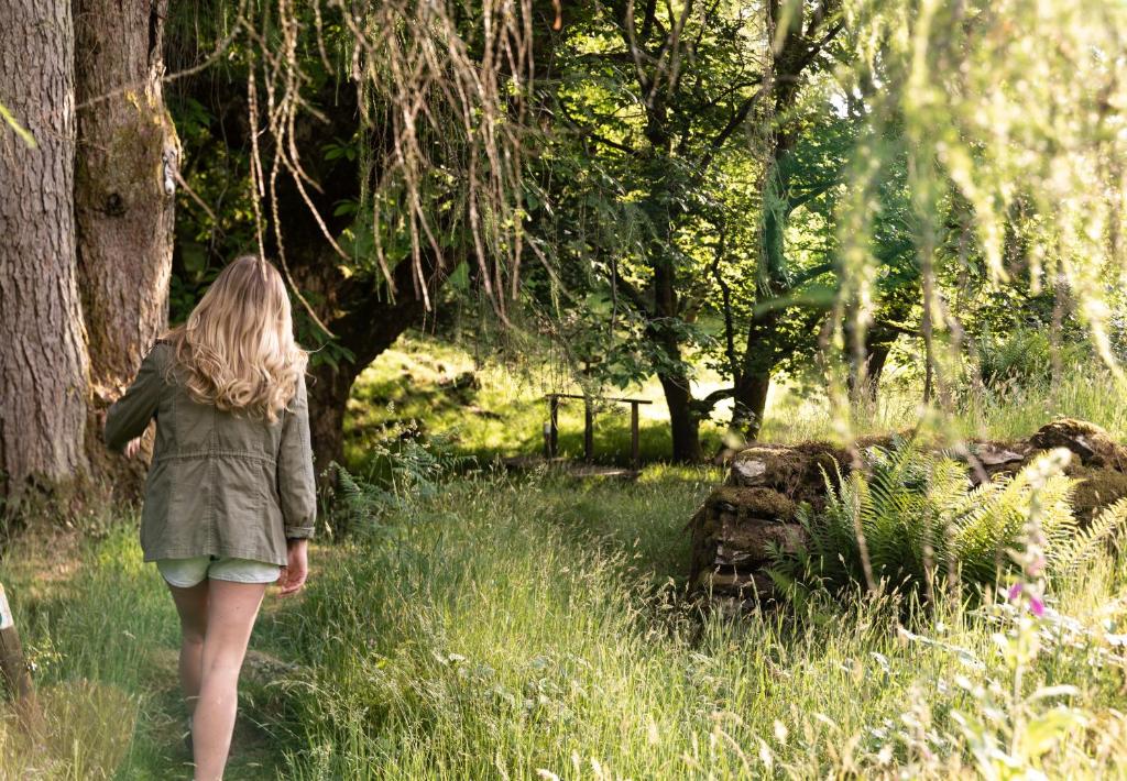 Wild Boar Estate - Resim 27