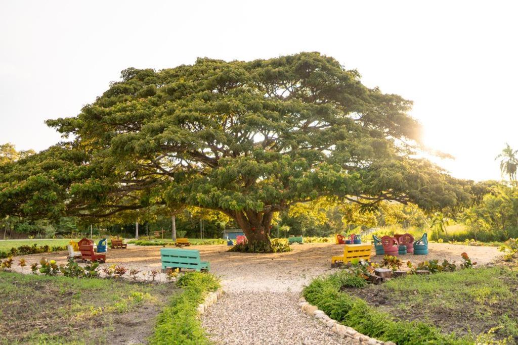 Zahrada ubytování Hacienda La Huerta, Puerto Plata