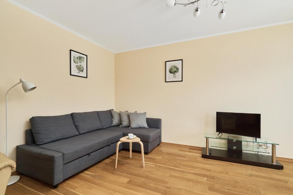 Televízia a/alebo spoločenská miestnosť v ubytovaní Wrocław Rose Apartments by Noclegi Renters