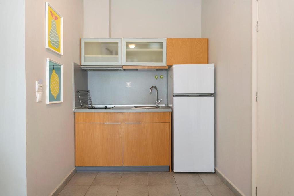 Kuchyň nebo kuchyňský kout v ubytování ammos seafront family apartments
