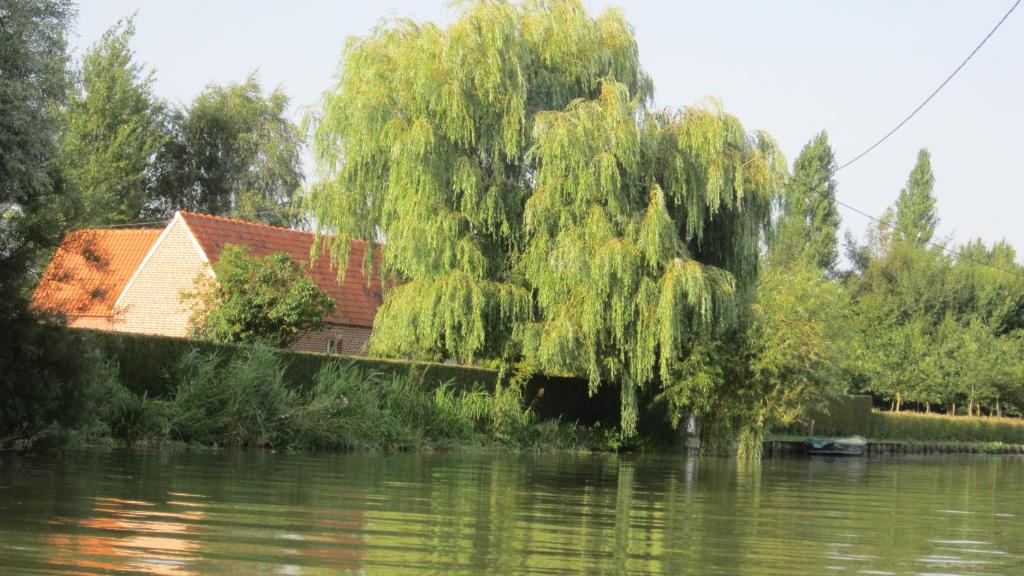 a house and a weeping willow tree next to a river at Gîte Marais Atypique in Clairmarais