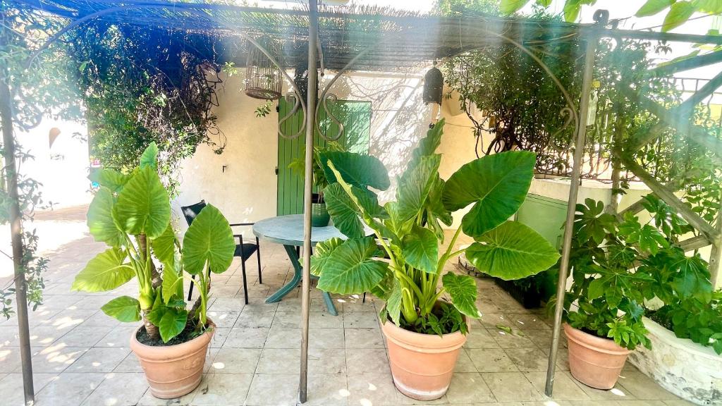 Ogród w obiekcie Rendez-vous au soleil de Provence - gite 4 personnes 80m2 - coin jardin - climatisation