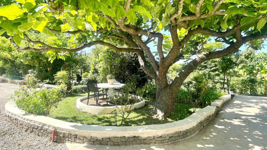 Ogród w obiekcie Rendez-vous au soleil de Provence - gite 4 personnes 80m2 - coin jardin - climatisation