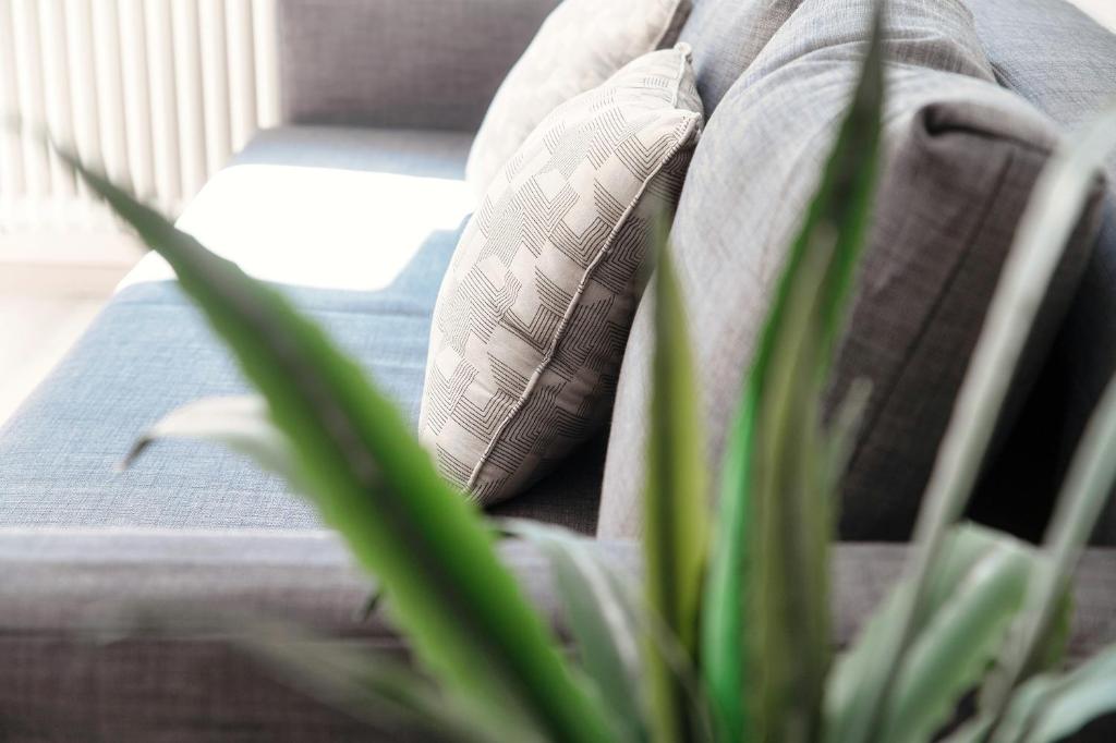 Castagnola 501 by Quokka 360 - flat with balcony - Resim 12