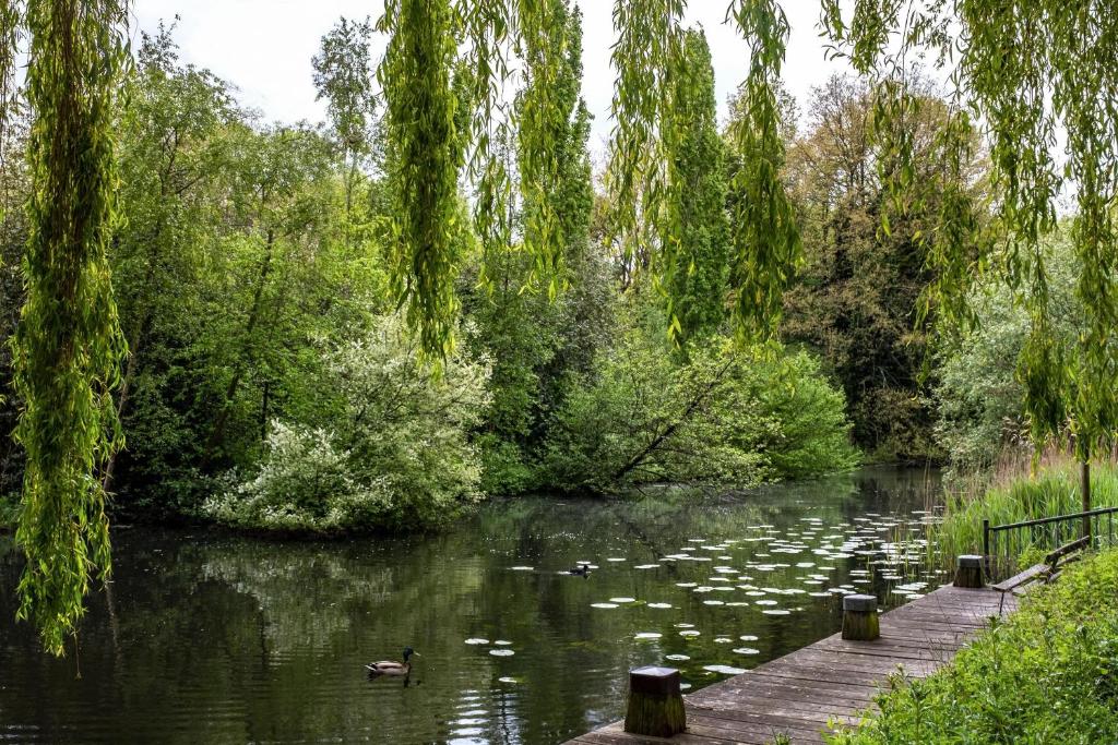 Element Amsterdam - Resim 42