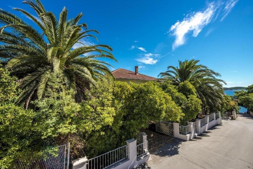 a row of palm trees in front of a house at House Lidi in Orebić
