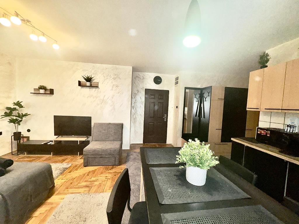 Kuchyň nebo kuchyňský kout v ubytování Amazing apartman in Bele Vode