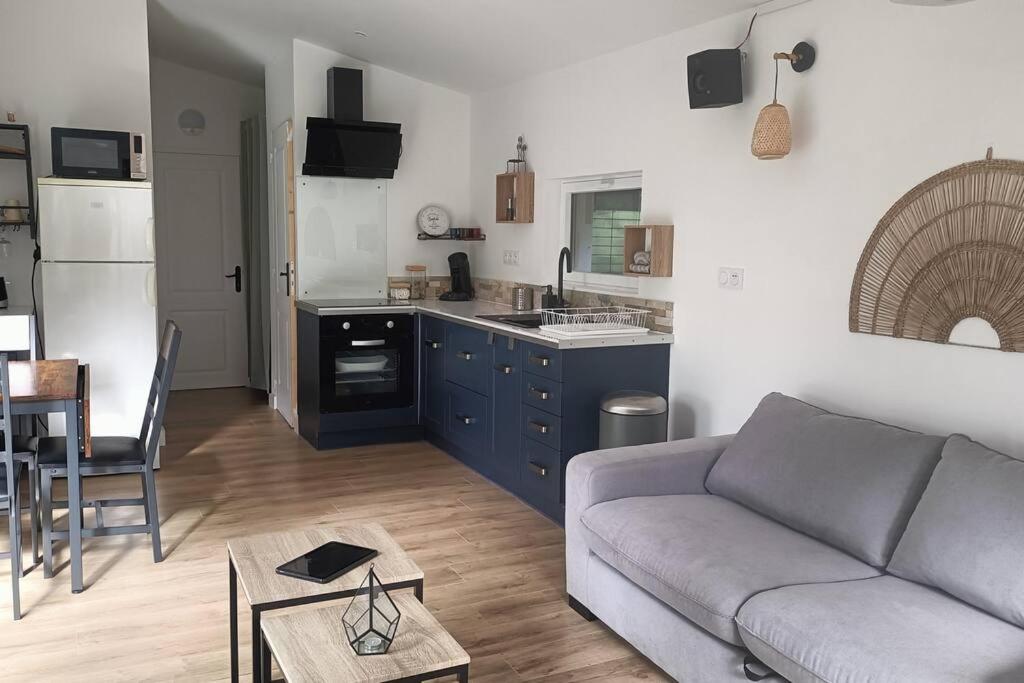 Kuchyň nebo kuchyňský kout v ubytování Maisonnette au pied des Pyrénées