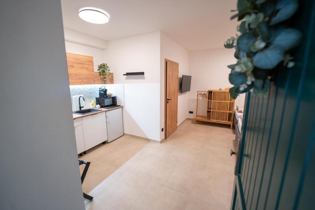 Kjøkken eller kjøkkenkrok på Apartmány V zahradě