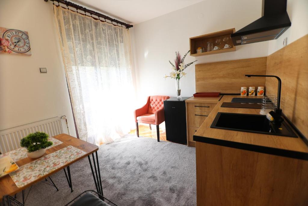 Kuchyň nebo kuchyňský kout v ubytování Apartmani Varos & Restaurant