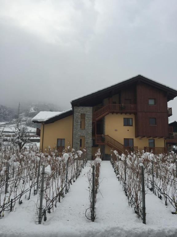 La Vigne de Papagran v zime