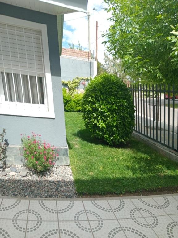 Zahrada ubytování Monoambiente Osvaldo