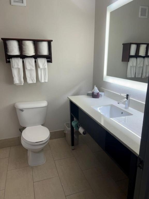 Holiday Inn Express Hotel & Suites Fort Payne by IHG - Habitación Estándar