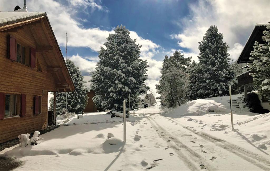 Chalet Valdonga v zimě