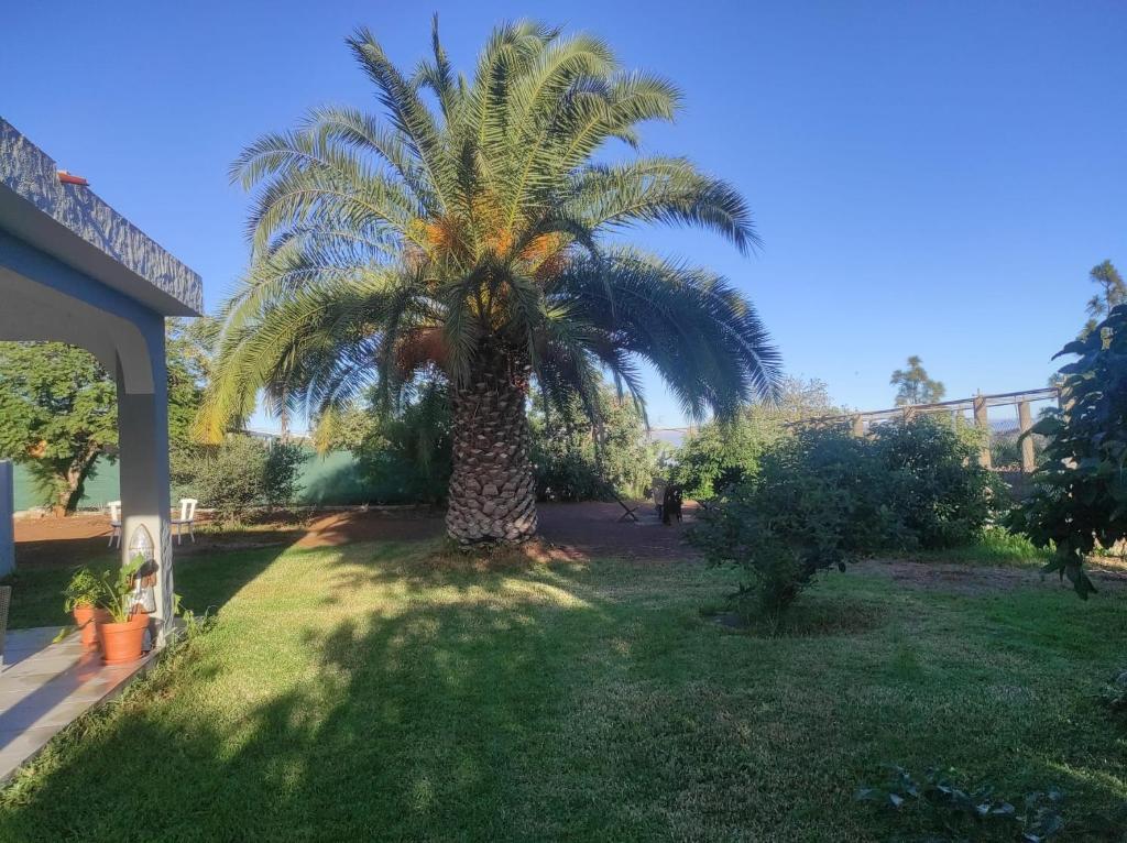 Ogród w obiekcie Cottage Gran Canaria completely renovated with Jacuzzi
