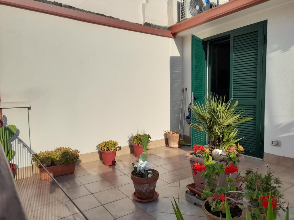 balkon z doniczkami i zielonymi drzwiami w obiekcie Il Cavalliere Bed & breakfast w mieście Barletta