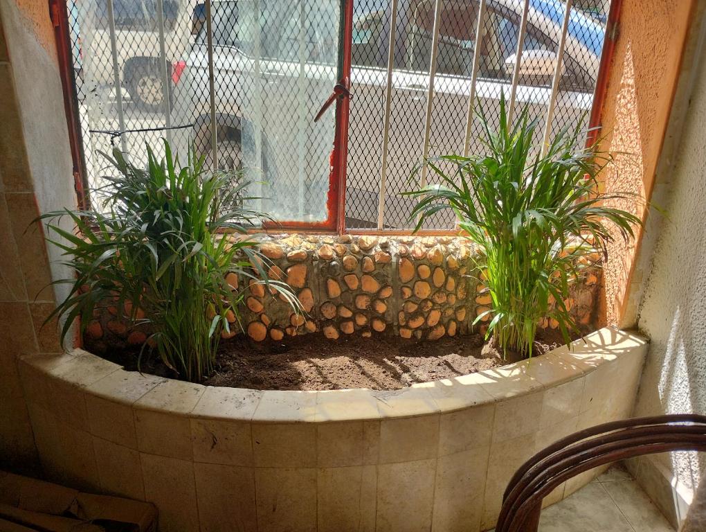 Fotografie z fotogalerie ubytování Casa de huespedes LOS SANTOS v destinaci Cancún