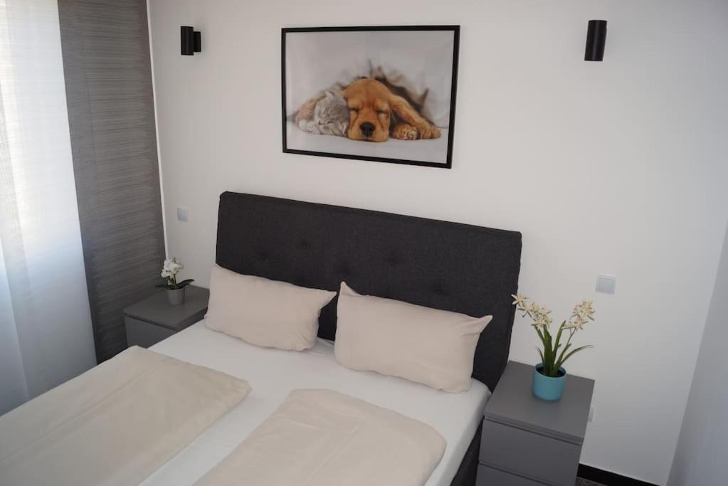 アルベンガにあるCasa Auroraのベッドルーム1室(壁に犬用ヘッド付きのベッド1台付)