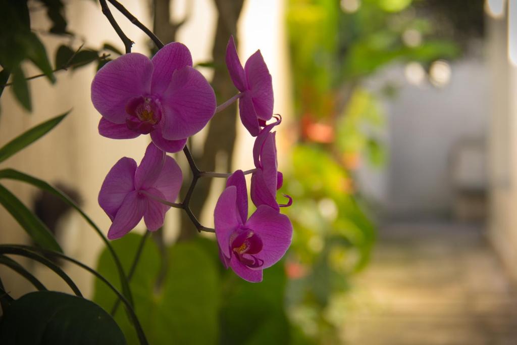  Pousada Morada do Sol Ubatuba
