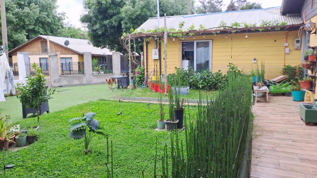 Zahrada ubytování HOSTAL EL AROMO CHILLÁn