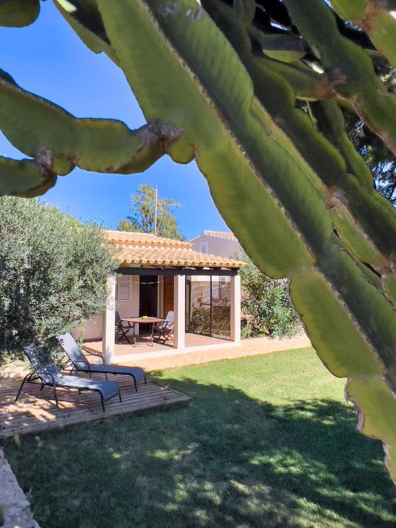 a view of a house through the branches of an agave at Can Pep Yern 3 in Playa Migjorn
