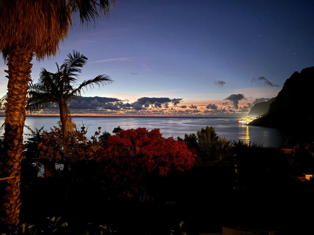 a view of the ocean at night with a palm tree at Suite Bela Vigia 3 in Jardim do Mar