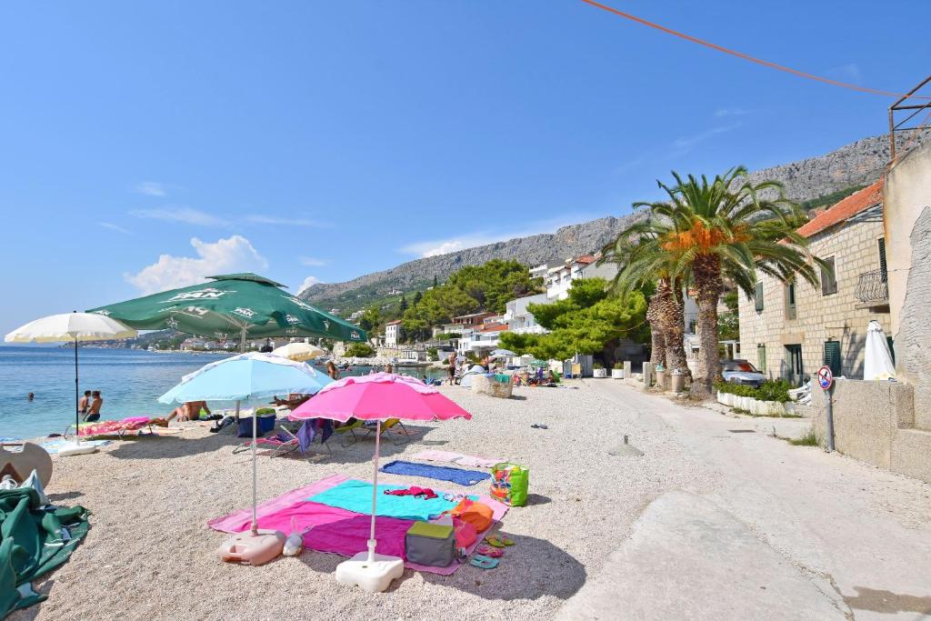 Príroda v okolí apartmánu