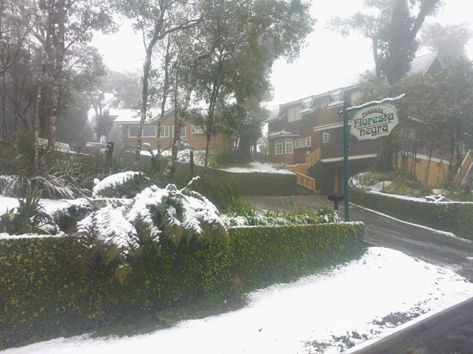  Pousada Floresta Negra