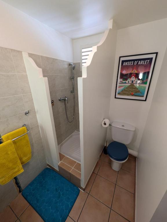Ti'Karaïb Appartement Vue Mer的一间浴室