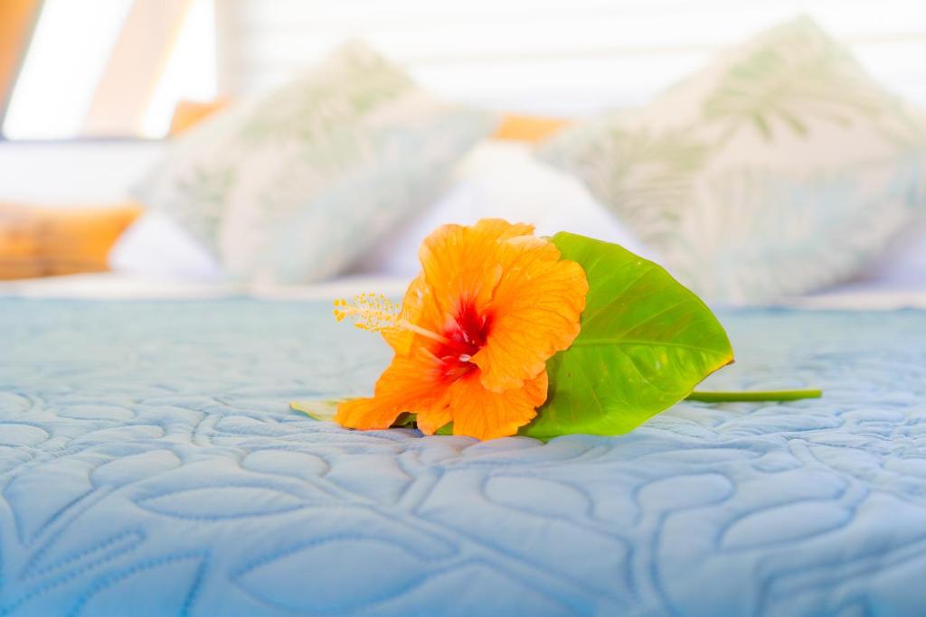 Cabañas Tahonga Rapa Nui