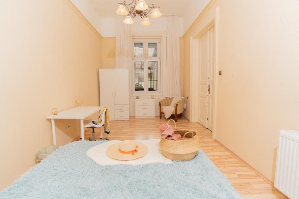 nice 5-room apartment in the heart of the city center near the synagogue 1222 Budapest, 5 Kazinczy utca kép - 1