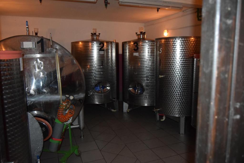 Fotografie z fotogalerie ubytování Farm Stay Frank Ozmec Wine and Glamping estate v destinaci Ljutomer