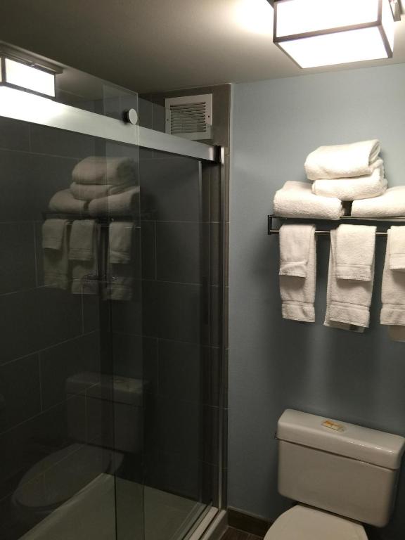 Holiday Inn Harrisburg East, an IHG Hotel - 標準室