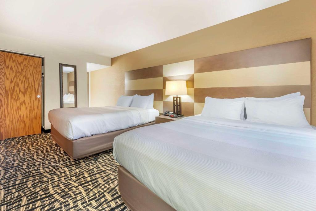 Quality Inn & Suites Mayo Clinic Area photo