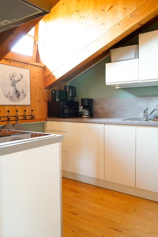 Kuchyň nebo kuchyňský kout v ubytování Haus Schrettl Hintergrünholz