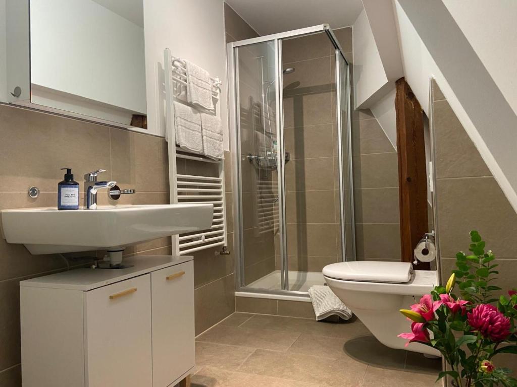 3 BR Duplex in Wiedikon - Resim 8