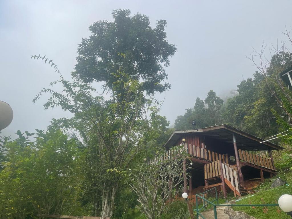 小和民宿 The Peaceful Village評價、特色體驗、房價資訊、訂房連結 – 寵物友善與環保文青風 - 照片 19