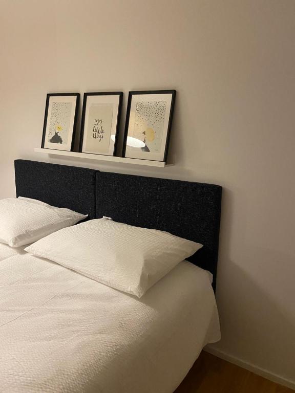 3 BR Duplex in Wiedikon - Resim 9