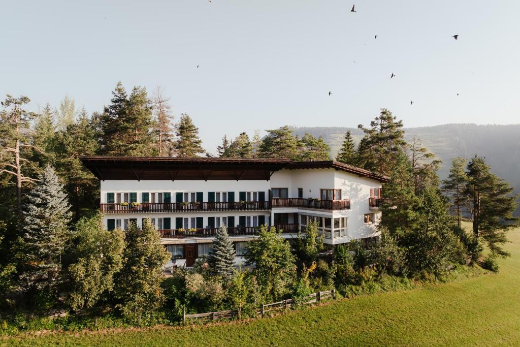 Příroda nedaleko hotelu