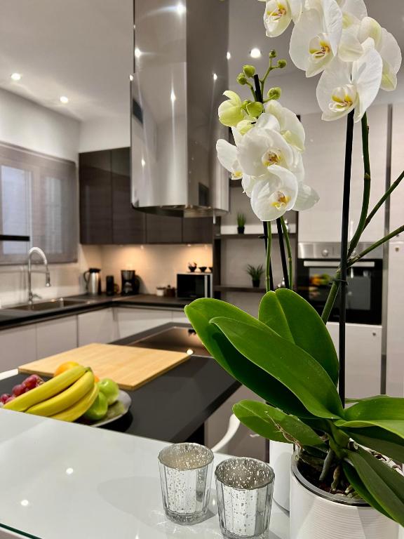 Kuchyňa alebo kuchynka v ubytovaní Acropolis View Deluxe Penthouse & Luxury Apartments